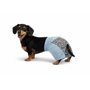 East Side Collection Zebra Dog Shorts Small Blue Brown‎ Pet Apparel Cute NEW